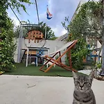 Peljesac Sova *
