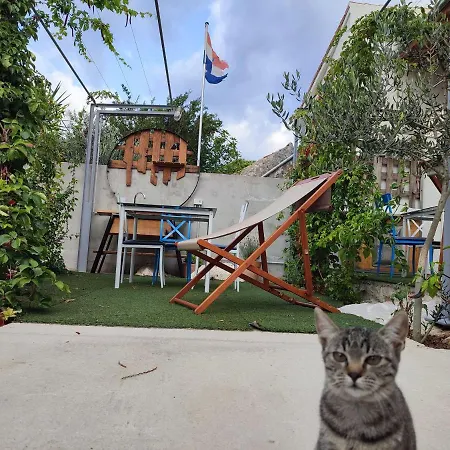Peljesac Sova *
