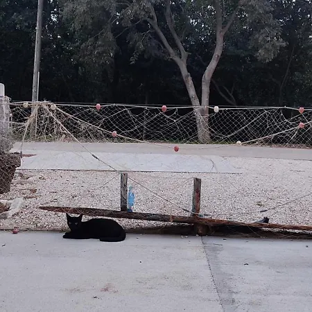 Peljesac Sova