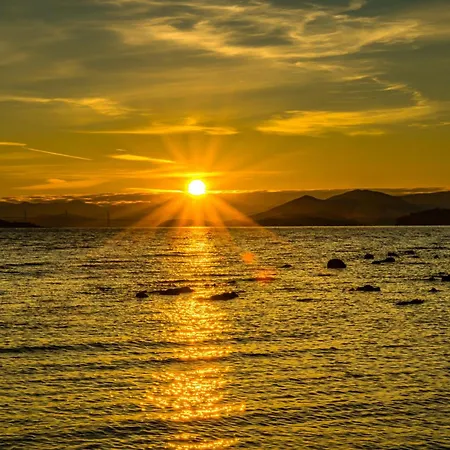 Peljesac Sova *