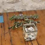 Peljesac Sova *