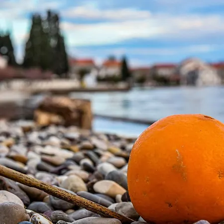 Peljesac Sova * Sreser