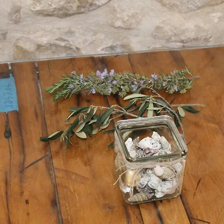 Peljesac Sova *